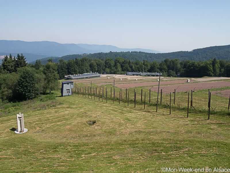 struthof-camp-concentration-alsace
