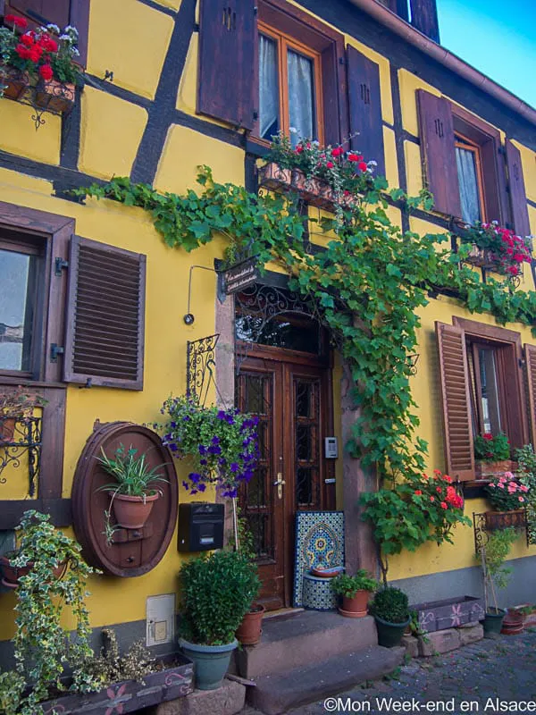 maison-bergheim-alsace