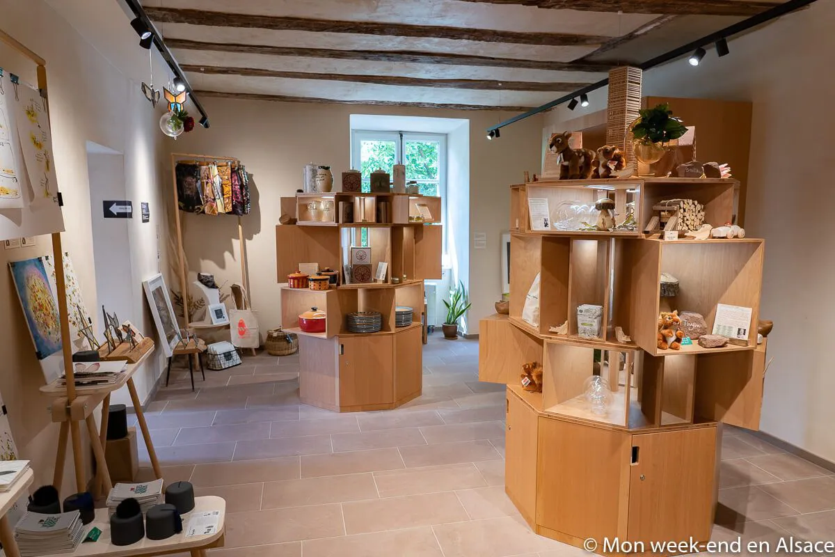 What to do in La Petite Pierre in Alsace? 12 atelier-foret