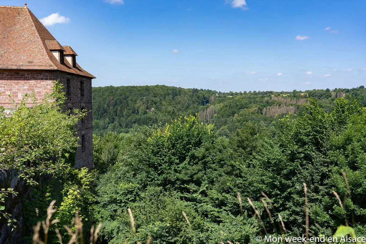 What to do in La Petite Pierre in Alsace? 3 vue-vosges-chateau-petite-pierre