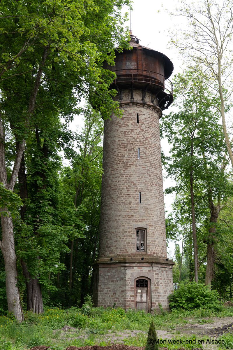 foret-robertsau-tour