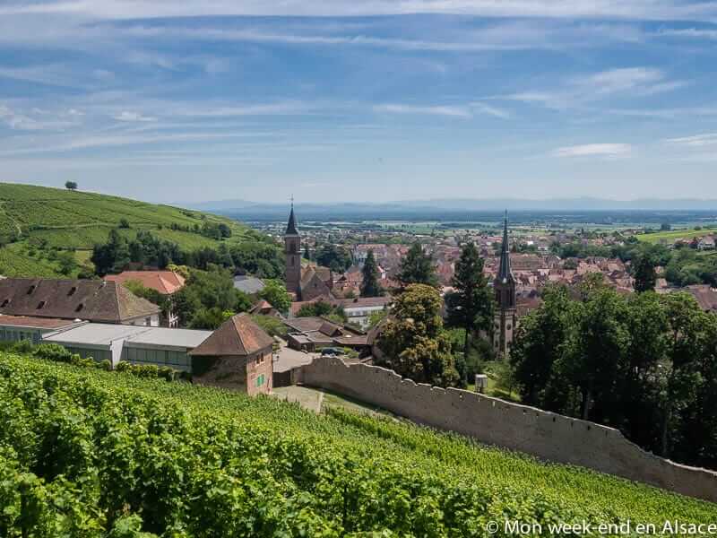 ribeauville-vue-vignoble