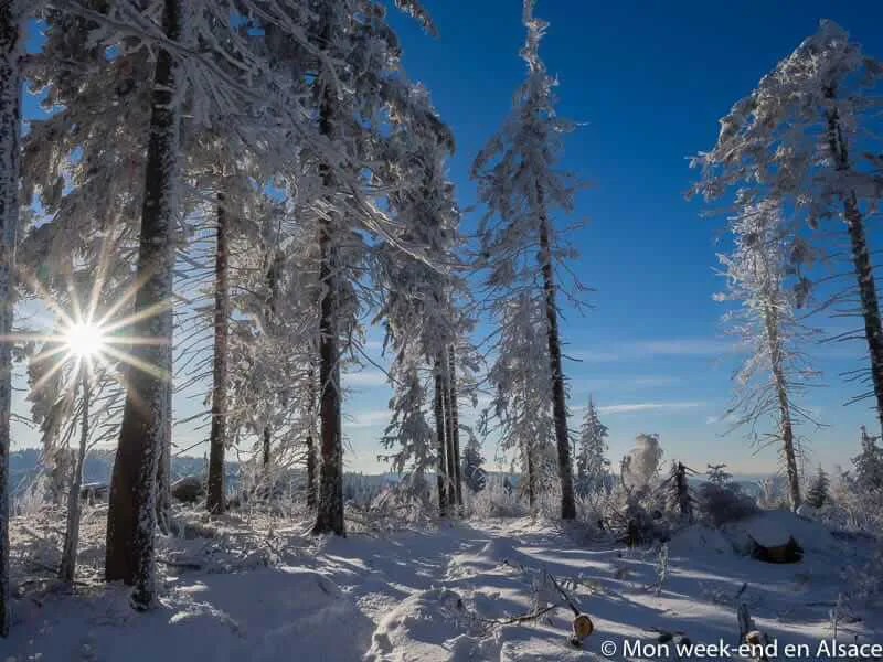 lac-blanc-rando-raquettes
