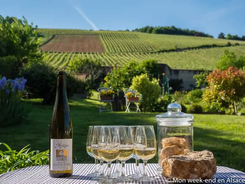 degustación-vino-domaine-hering-barr