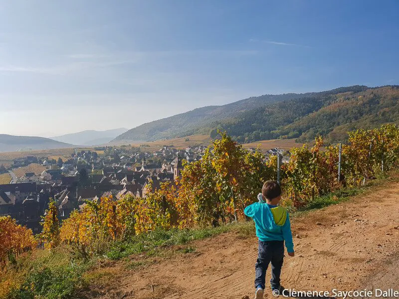 tour-geovino-riquewihr