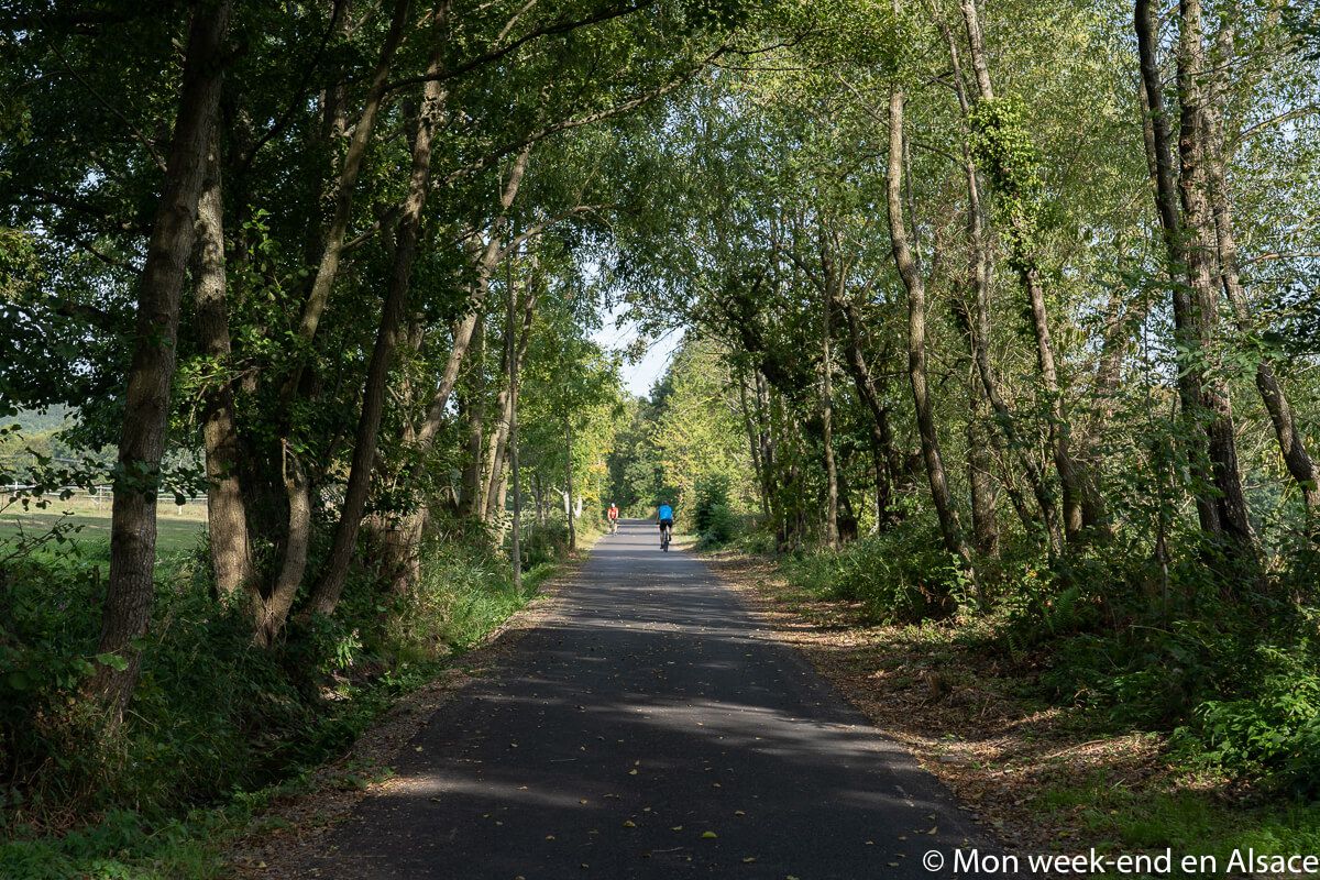 Karrenweg-Grüner Weg-Rosheim