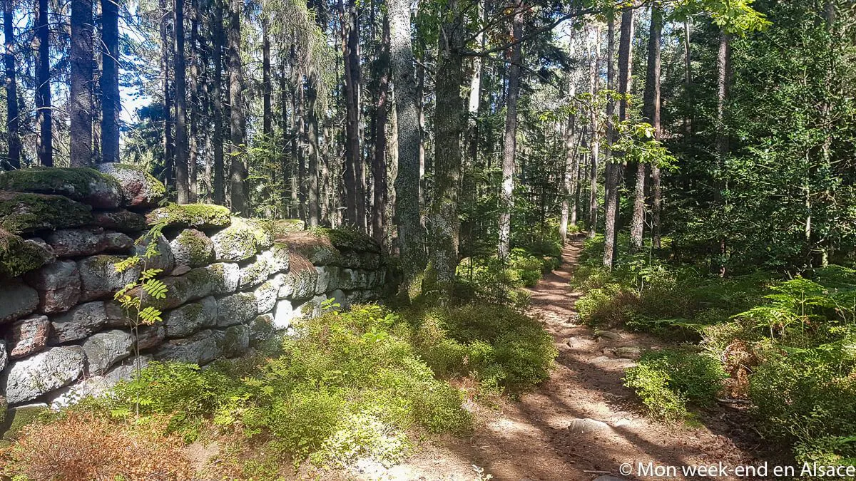 mur-paien-mont-sainte-odile