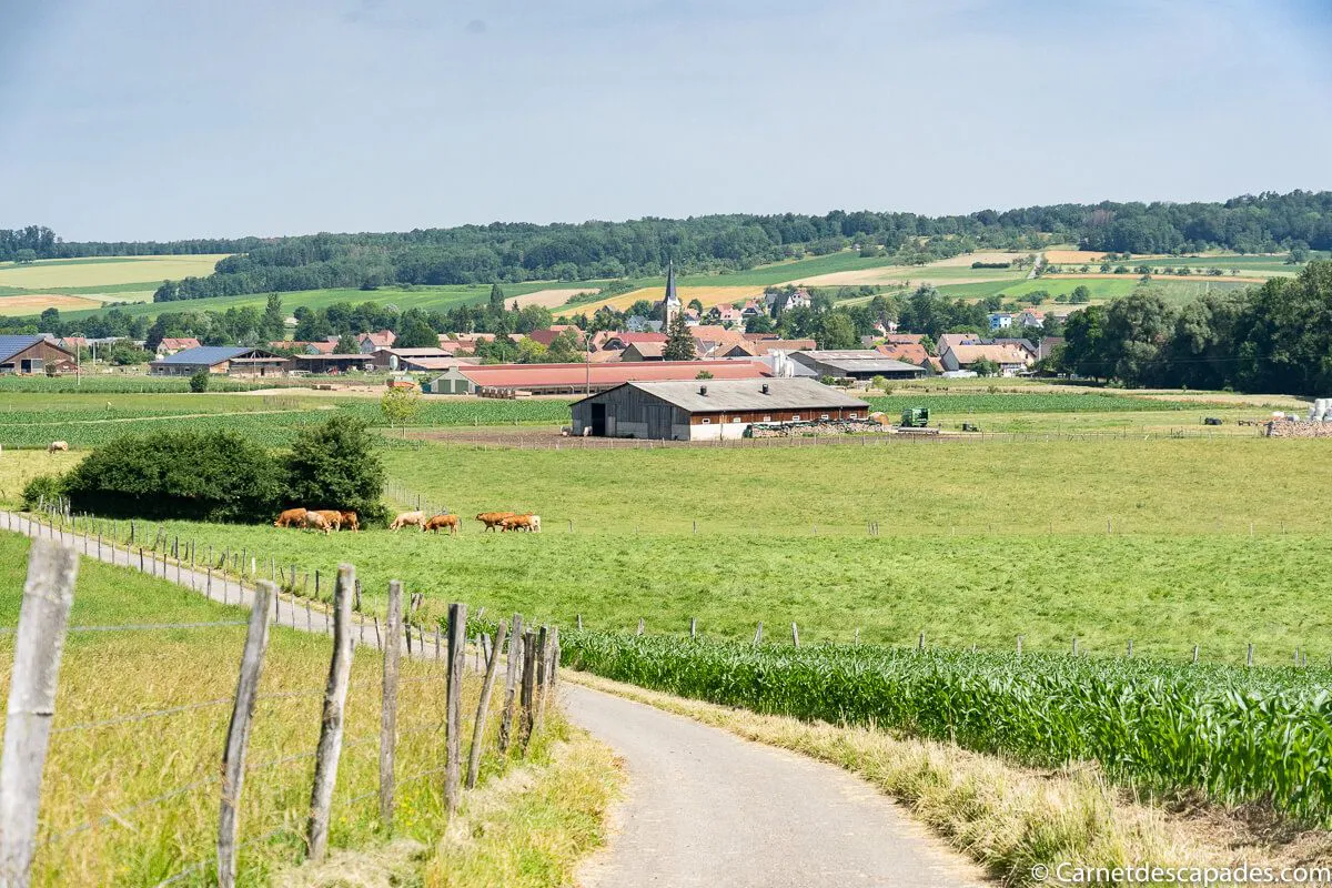 paysages-sundgau-alsace
