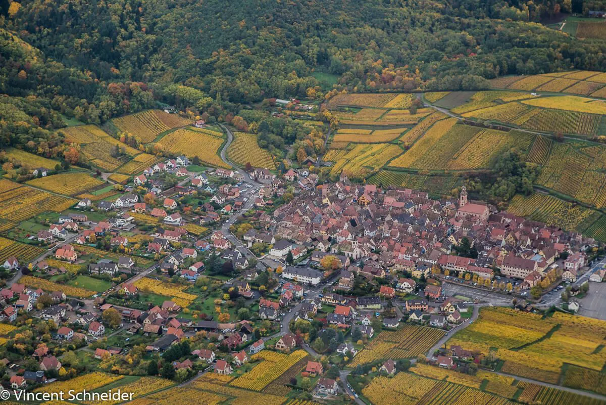 ruta-vinos-autumn-alsace