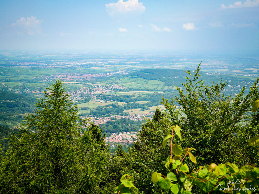 panorama-mont-sainte-odile