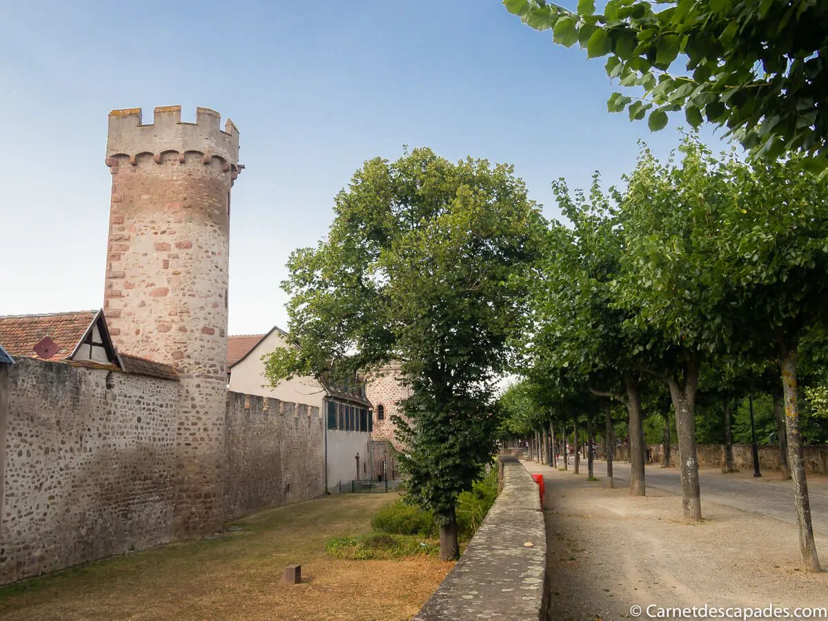 obernai-remparts