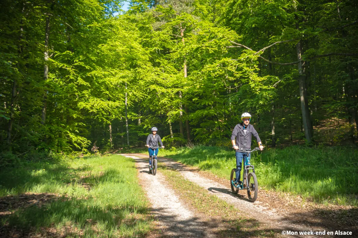 What to do in La Petite Pierre in Alsace? 10 electric-scooter-ride