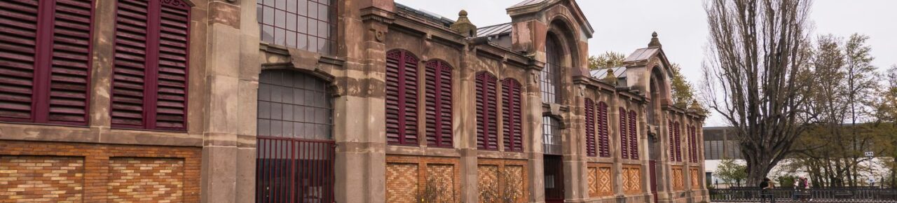 marche-couvert-halles-colmar