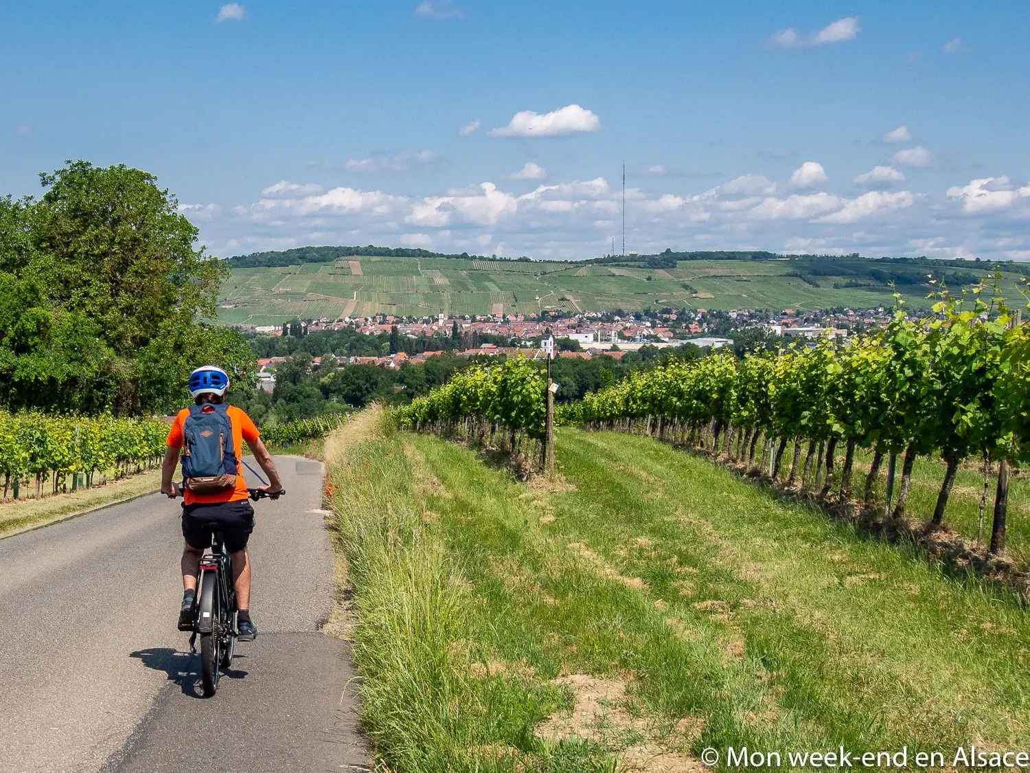 velo-vignoble-couronne-or