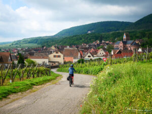 Cycliste à vélo électrique sur la Route des Vins à Gueberschwihr