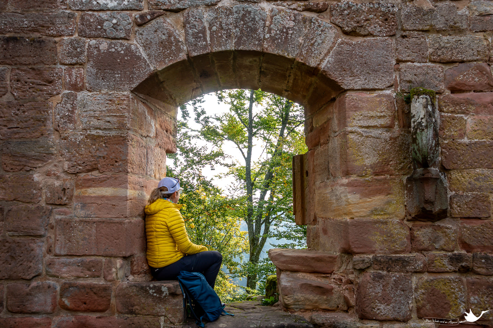 Visit Alsace - My TOP 35 things to do, see and taste 45 laurene-chateau-nouveau-winstein