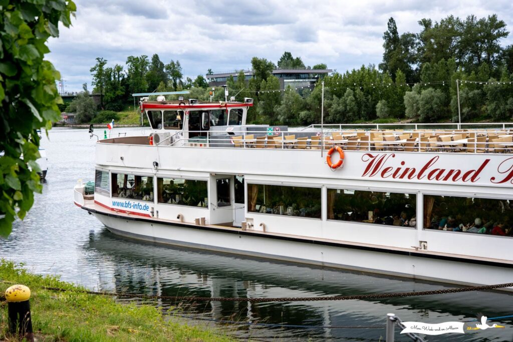 Visiter Breisach am Rhein, ville allemande en face de Neuf-Brisach 22 bateau croisire rhin breisach