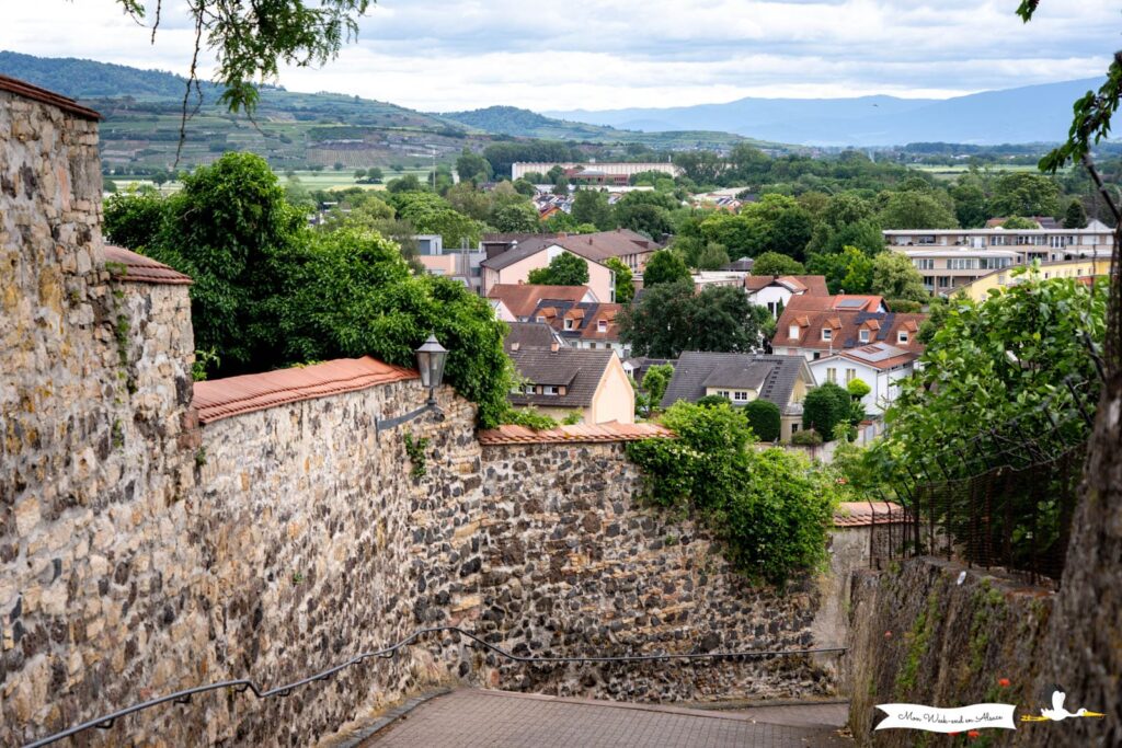 Visiter Breisach am Rhein, ville allemande en face de Neuf-Brisach 8 Escalier reliant les parties haute et basse de Breisach