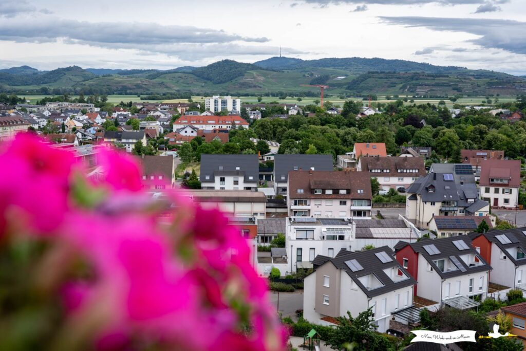 Visiter Breisach am Rhein, ville allemande en face de Neuf-Brisach 15 Vue sur les vignes et le Kaiserstuhl depuis le jardin du monastère franciscain de Breisach