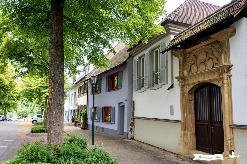 Visiter Breisach am Rhein, ville allemande en face de Neuf-Brisach 4 rue centre historique breisach