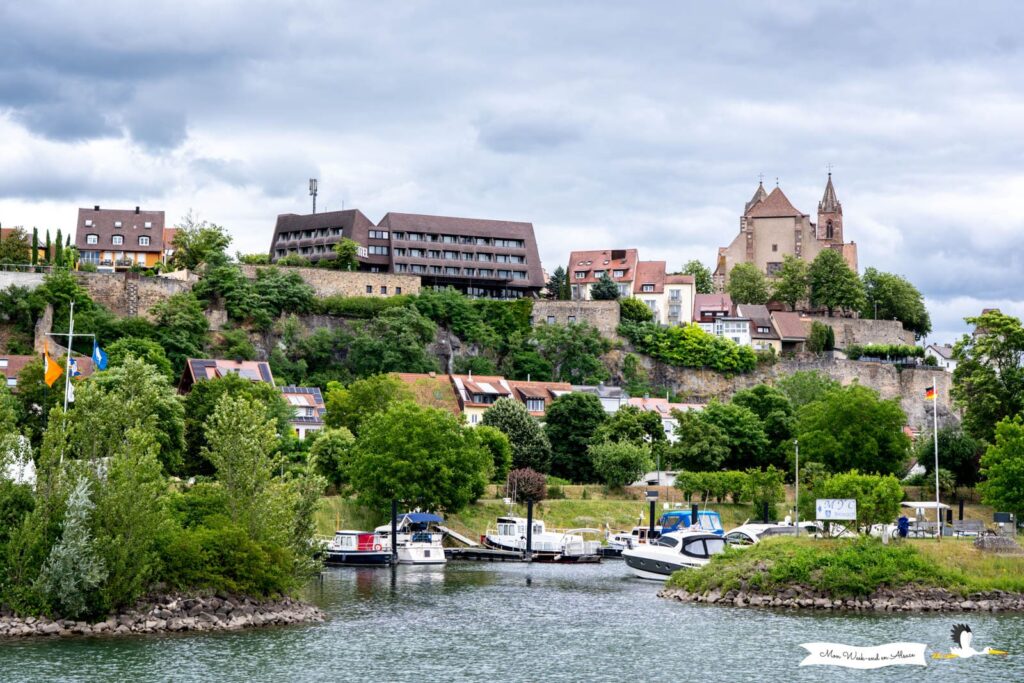 Visiter Breisach am Rhein, ville allemande en face de Neuf-Brisach 25 vue breisach depuis rhin