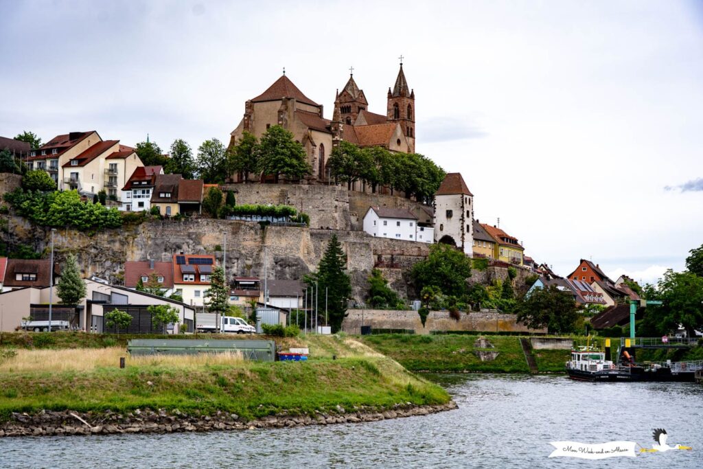 Visiter Breisach am Rhein, ville allemande en face de Neuf-Brisach 24 vue breisach depuis rhin croisiere