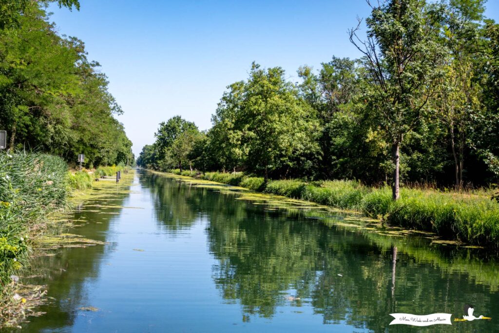 Canal du Rhône au Rhin en Alsace
