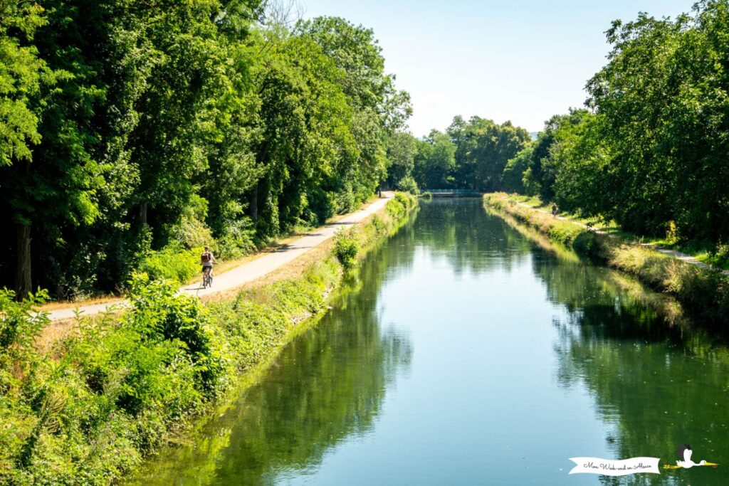Cycliste le long du canal du Rhône au Rhin