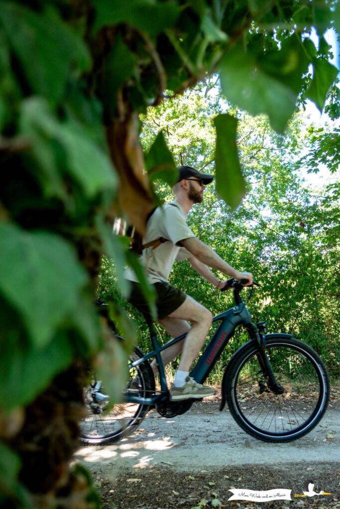 Cycliste sur un VAE