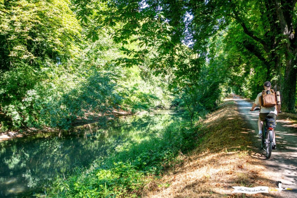 Parte sauvage du canal du rhône au rhin