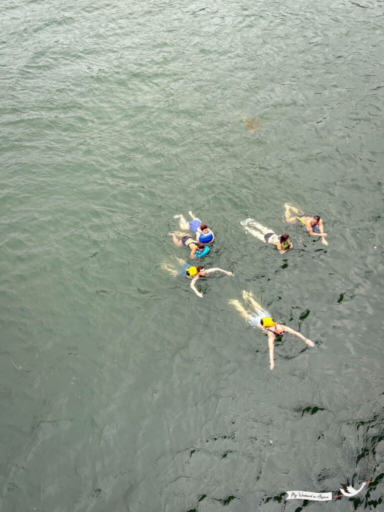 Baigneurs nageant dans le Rhin en été à Bâle avec leur wickelfisch