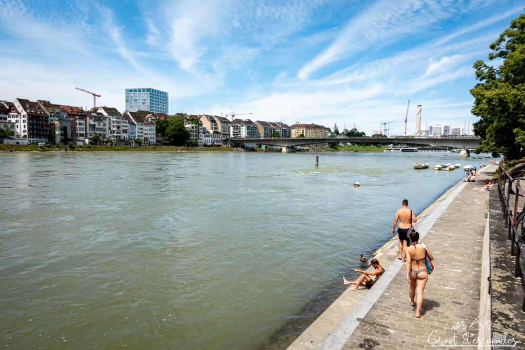 Les bords du Rhin à Bâle en été avec les baigneurs