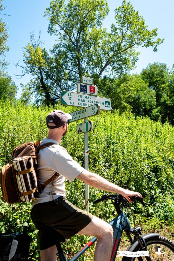 Sac à dos paniquer de pique-nique de Vinum Divinum lors d'une balade à vélo