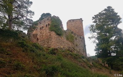 Randonnée du Château du Landsberg (2h)