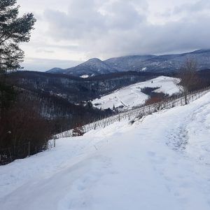 chemin-patrimoine-albe-neige